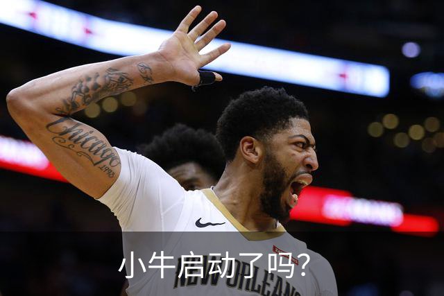 小牛启动了吗？